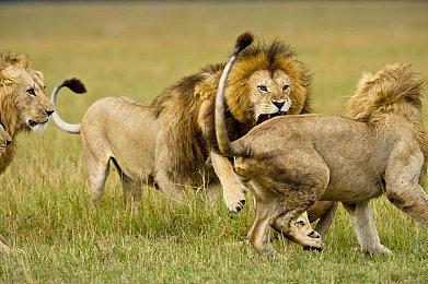 《无主之地传说》新作官宣 Gearbox开发、今年发售